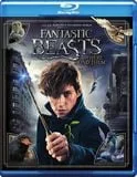 Fantastic Beasts and Where to Find Them [Blu-ray] [2016]