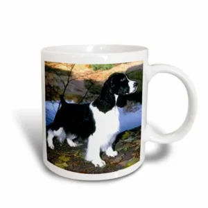 3dRose Black And White Springer Spaniel, Ceramic Mug, 11-ounce